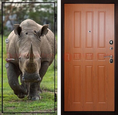Металлическая дверь с фотопечатью носорога ДФ-31 в Иваново