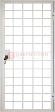 Белая металлическая решетчатая дверь ДР-2 в Иваново